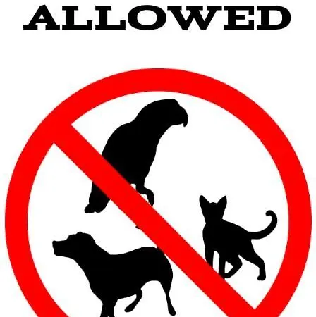 Apartamento - Jachtowa *